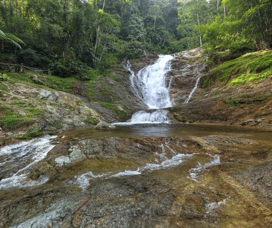 Image 35